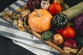 lot of autumn fresh vegetables, pumpkins, tomatoes, cabbage, zucchini, onions, dry fallen leaves, cucumber, garlic Royalty Free Stock Photo