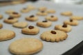 A lot of baked cookies and gingerbread on baking tray, decorated with raisins Royalty Free Stock Photo