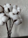 a lot of balls boxes of cotton flowers on a light background