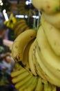 A lot of banana bundles hanging in local fruit market in Indonesia