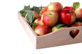 A lot of beautiful mature fresh apples on a tray on a white isolated background Royalty Free Stock Photo