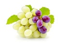 Lot of Beautiful Two-Colored Grapes