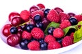 Lot of Berries isolated