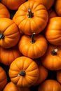 A lot of big orange pumpkins at outdoor farmers market, closeup photo, autumn harvest and thanksgiving concept