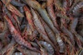 A lot of big shrimp. Fishing dock in southern India Royalty Free Stock Photo