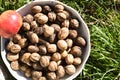 Marketplace raw produce in the sun during summer or autumn time. Macro or detail shot, view from above Royalty Free Stock Photo