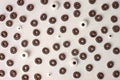 A lot of black rings cerial and candy monsters eyes in white milk, breakfast background. Concept Halloween funny food, Crispy corn Royalty Free Stock Photo