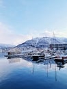 Lot of boats parked at a harbor in Tromso, Norway during winter Royalty Free Stock Photo