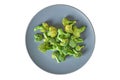 Lot of branches of fresh green broccoli on round gray plate isolated on white background without shadow Royalty Free Stock Photo