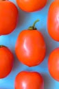 A lot of bright red juicy tomatoes on a blue background. Royalty Free Stock Photo