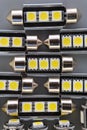 Lot of Car light bulbs emitting diode, accessories and components for electronics vehicles. Modern technologies and low energy Royalty Free Stock Photo