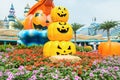 A lot of carved golden pumpkins and faces in the park to cerebrate the Halloween