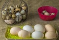 A lot of chicken eggs and quail eggs lies of a metal structure in the shape of a heart and an ear lying on the wooden table Royalty Free Stock Photo