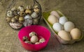 A lot of chicken eggs and quail eggs lies of a metal structure in the shape of a heart and an ear lying on the wooden table Royalty Free Stock Photo