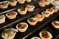 a lot of cold snacks on buffet table, catering. Royalty Free Stock Photo