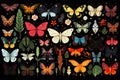 a lot of colorful insects