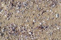 A lot of colorful small seashells on the sea sand. Surface of yellow sea sand with fragments of multicolored seashells Royalty Free Stock Photo