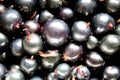 Lot of currant background closeup Royalty Free Stock Photo