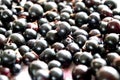 Lot of currant background closeup Royalty Free Stock Photo