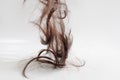 A lot of cut hair falls from top to bottom in parts on a light gray background. brown hair on a white background