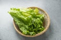 Romaine Lettuce