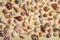 a lot of different empty sea shells on yellow background, macro details Royalty Free Stock Photo