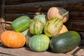 A lot of different kind of squashes and pumpkins in market Royalty Free Stock Photo