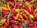Colors of peppers Royalty Free Stock Photo
