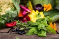Lot of different vegetables on a wooden surface - healthy eating concept Royalty Free Stock Photo