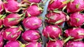 Dragon fruit Hylocereus undatus Royalty Free Stock Photo