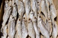 Dried fish on a rope n the market