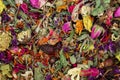 A lot of dried flowers for tea to add. Antioxidant natural herb mix. Royalty Free Stock Photo