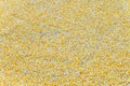Lot of dried grains of corn crop