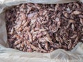 A lot of dried squid.