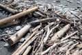 Driftwood on a river bank after a flood and high water Royalty Free Stock Photo