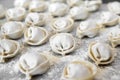 Dumplings, flour, lot of dumplings, flour Royalty Free Stock Photo