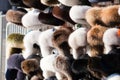 Earflapped fur hats in the market