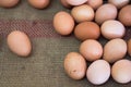 A lot of eggs with lonely one. Royalty Free Stock Photo