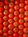 a lot of evenly stacked beautiful ripe bright red cherry tomatoes Royalty Free Stock Photo