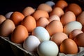 A lot of fresh chicken eggs. White and brown eggshell. Concept of high source of protein Royalty Free Stock Photo
