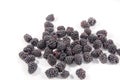 A lot fresh fresh sweet blackberry`s whiting Royalty Free Stock Photo