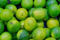 Lot of fresh green limes for eating as a background close - up Royalty Free Stock Photo