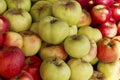 A lot of fresh juicy apples of different colors on the counter. Healthy eating and vegetarianism. Close-up