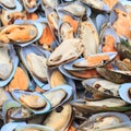 A lot of fresh large mussels lie in anticipation of cooking on the grill Royalty Free Stock Photo