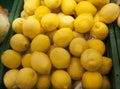 Fresh lemon on supermarket Royalty Free Stock Photo