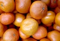 A lot of fresh orange tangerines on market display.