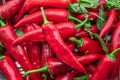 Lot of fresh red chilli peppers. Food background