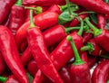 Lot of fresh red chilli peppers. Food background