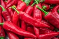 Lot of fresh red chilli peppers. Food background