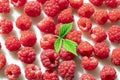 A lot of fresh red raspberries are scattered on a white surface. Royalty Free Stock Photo